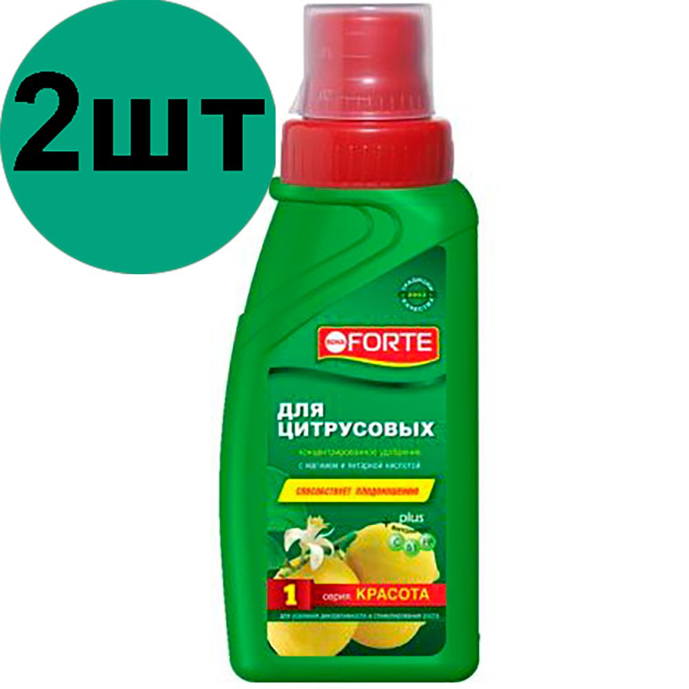 Форте для цитрусовых. Bona Forte для цитрусовых. Удобрение бона форте для суккулентов