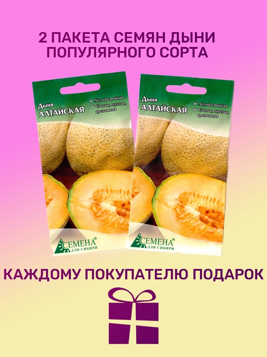 Дыня Птичье Молоко Семена Алтая Купить