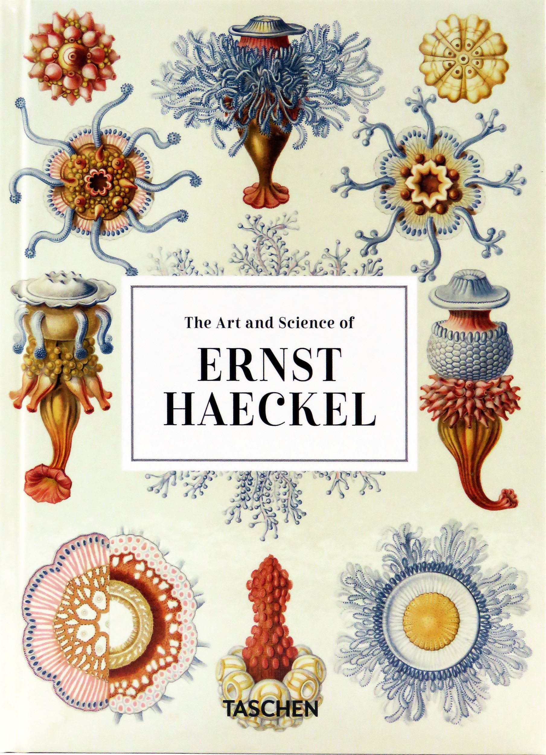 The Art and Science of Ernst Haeckel. 40th Ed. | Willmann Rainer