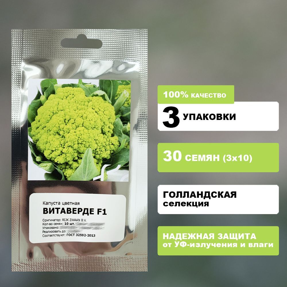 Где Купить Настоящие Голландские Семена