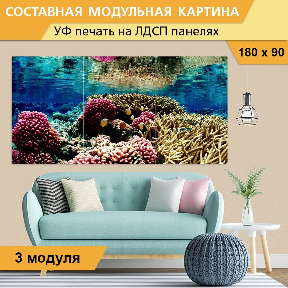 Коралловый риф картина по номерам