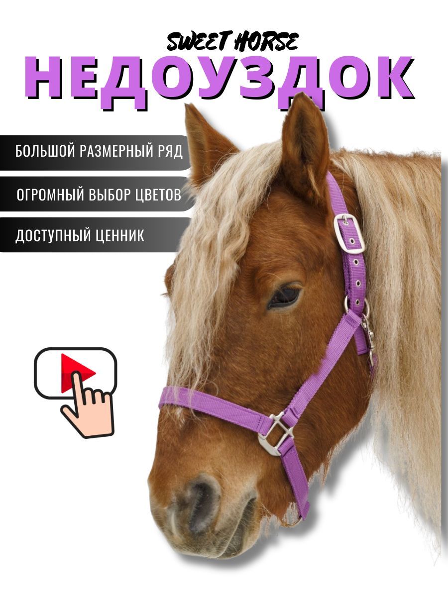 Sweethorse / Недоуздок для лошади и пони PONY