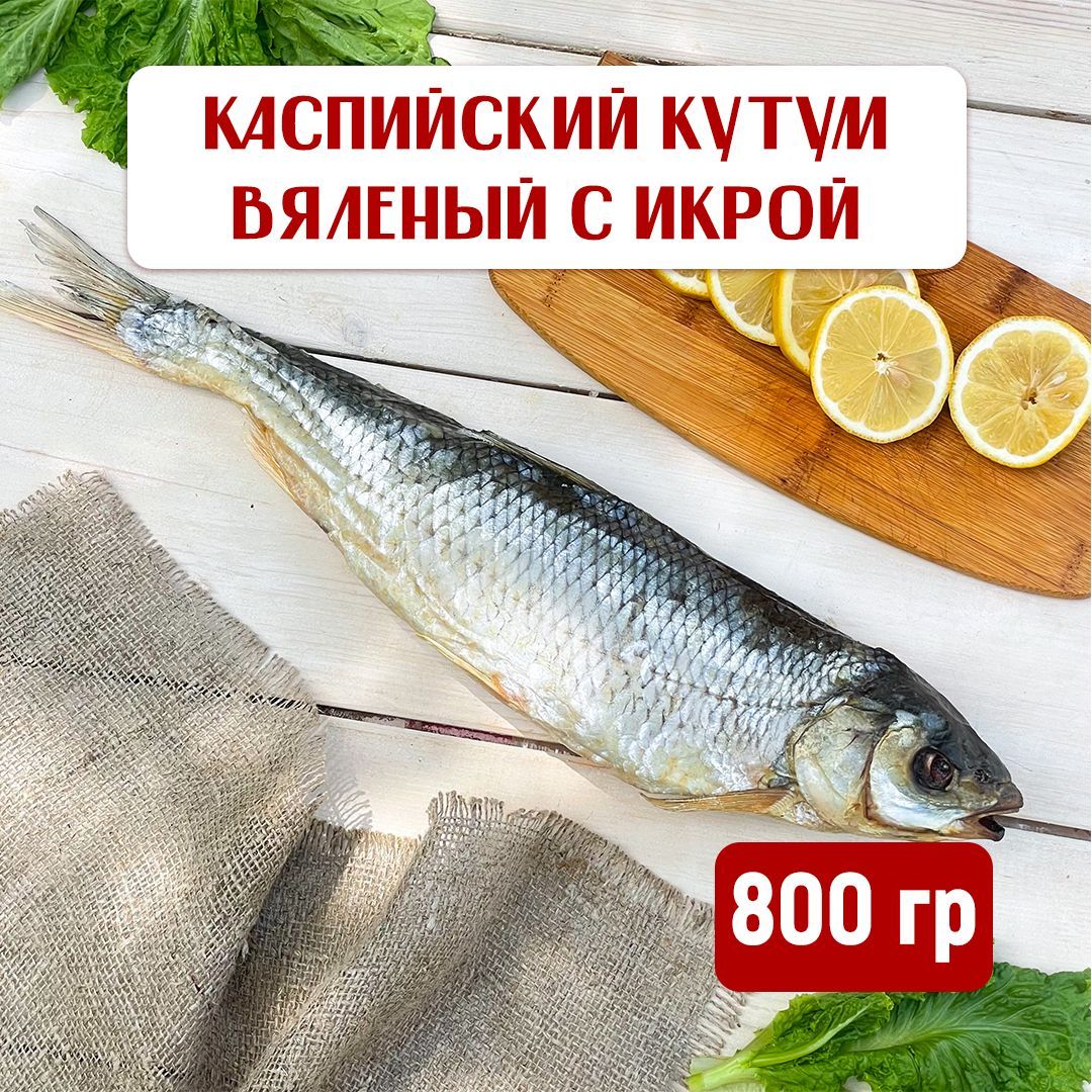 Рыба Вяленая Кутум — купить в интернет-магазине OZON по выгодной цене