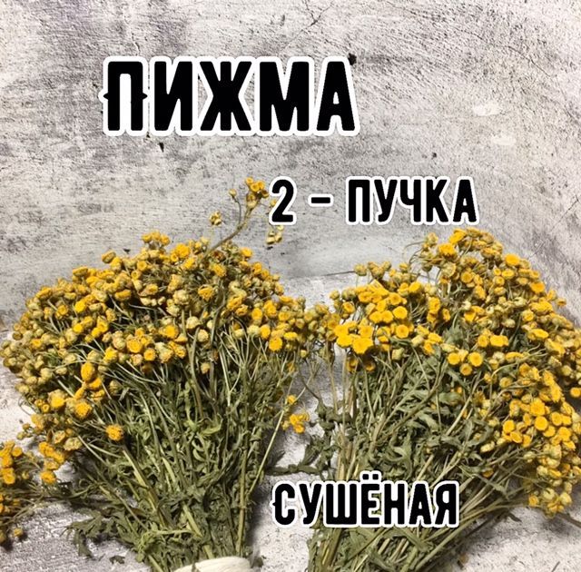 Пижма трава сушёная в пучке 2 шт.