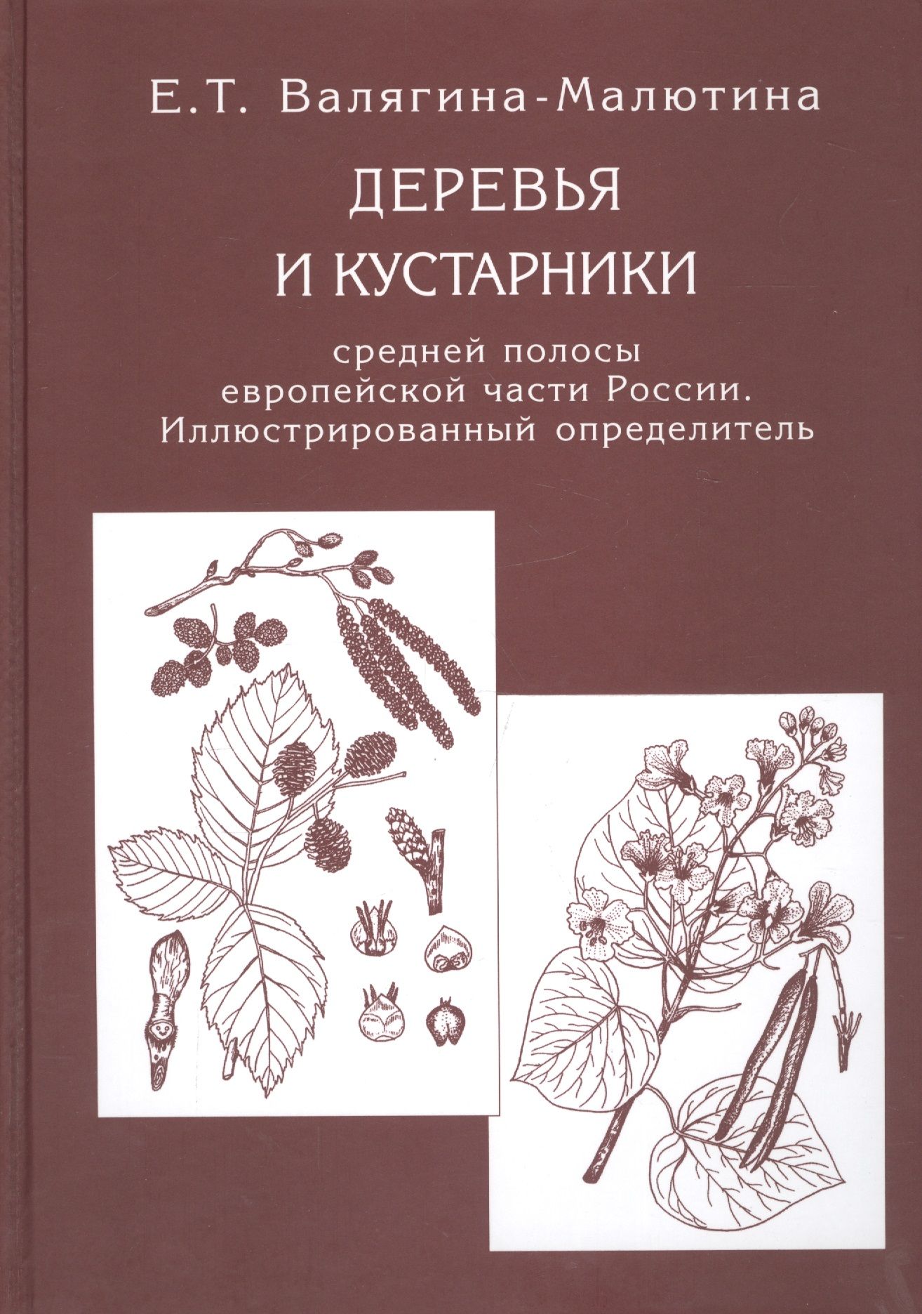 Атлас определитель деревьев. Валягина-Малютина деревья и кустарники. Валягина Малютина деревья и кустарники средней полосы. Валягина Малютина определитель растений. Книга «деревья и кустарники средней полосы европейской части России».