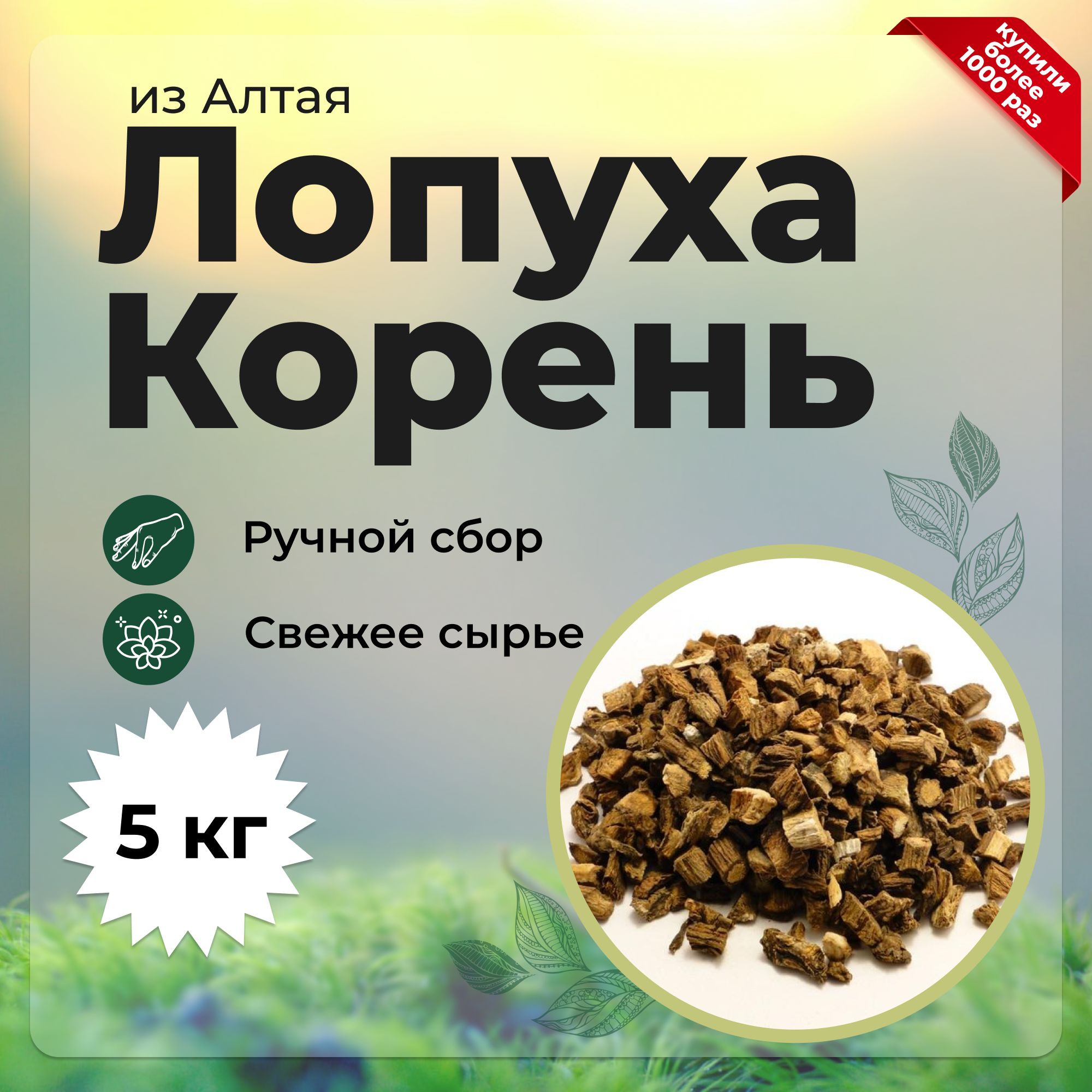 Корень лопуха (резаный), репейник, 5 кг