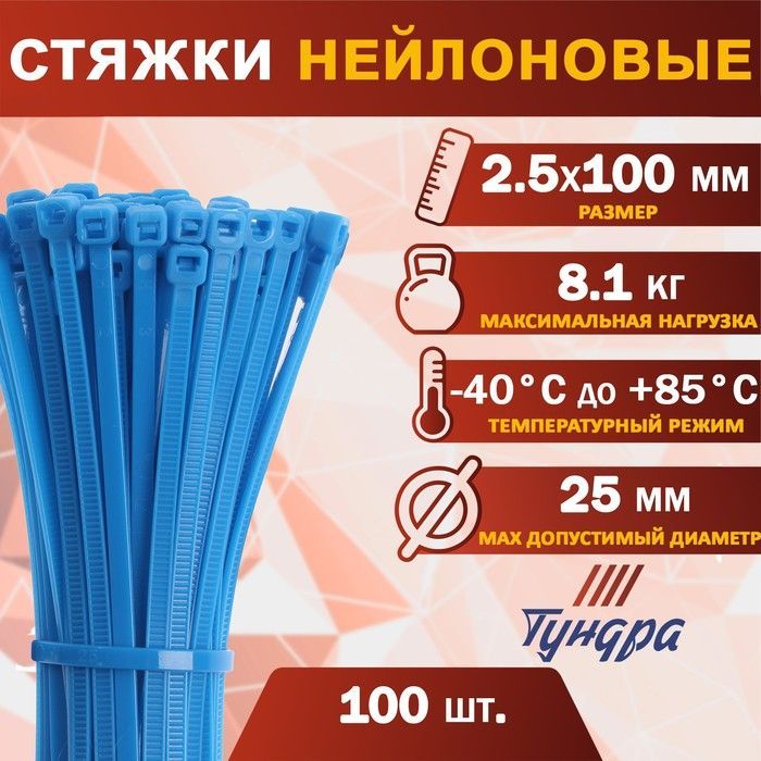 Хомутнейлоновый,2.5х100мм,100шт.