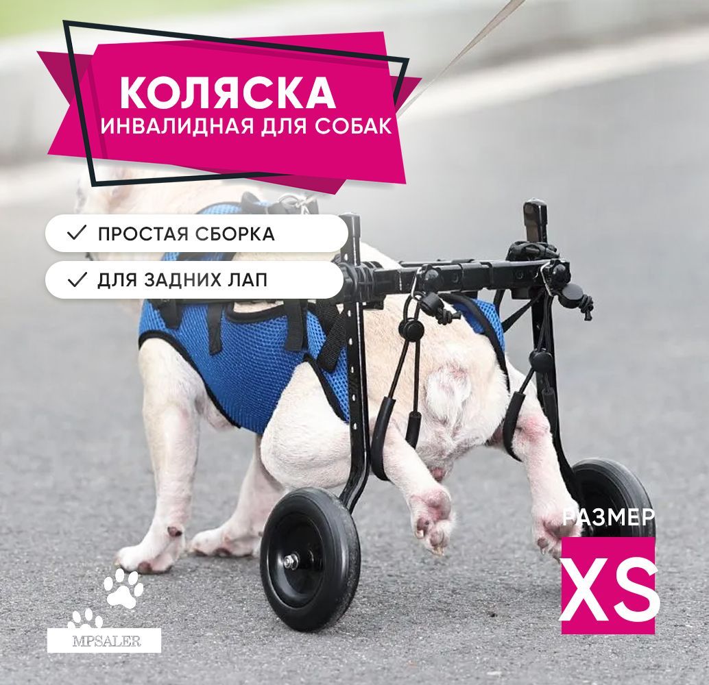 цопе писи $ 