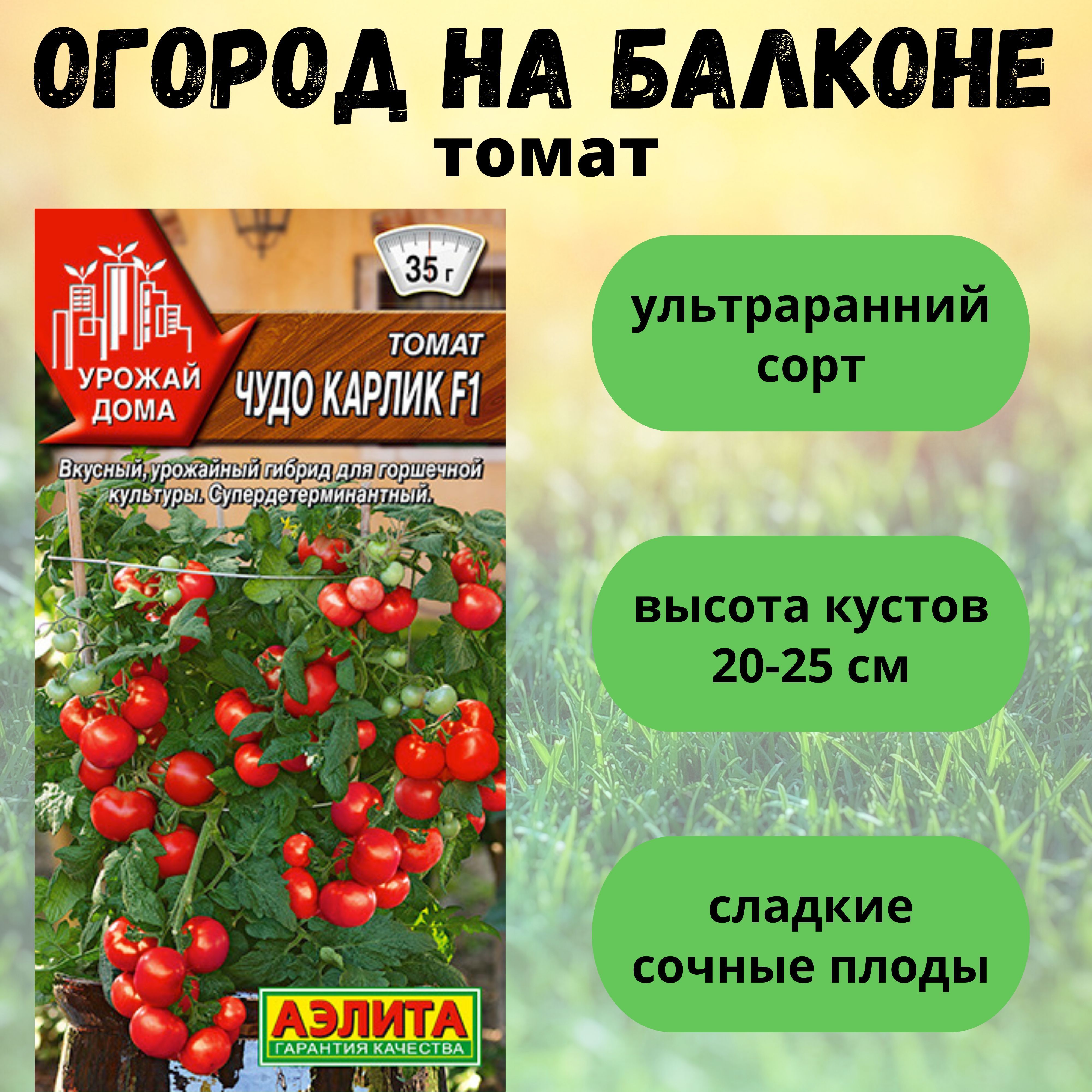 Огурцы Балконное Чудо Купить Семена