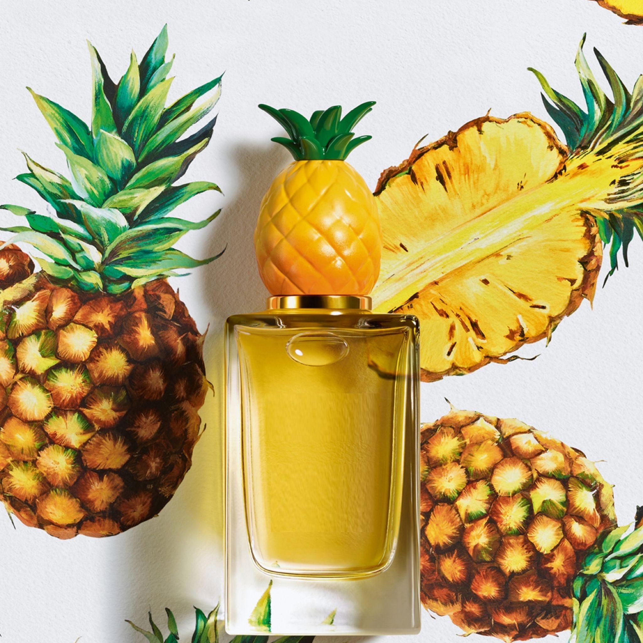 Дольче Габбана ананас духи. Духи Дольче Габбана Pineapple. Дольче Габбана Фрут коллекшн. Дольче Габбана Фрут коллекшн ананас.