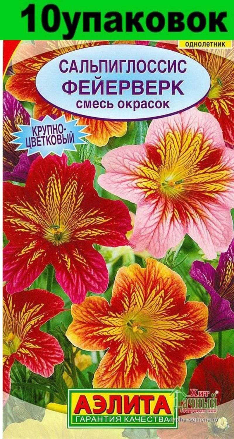 Сальпиглоссис Купить