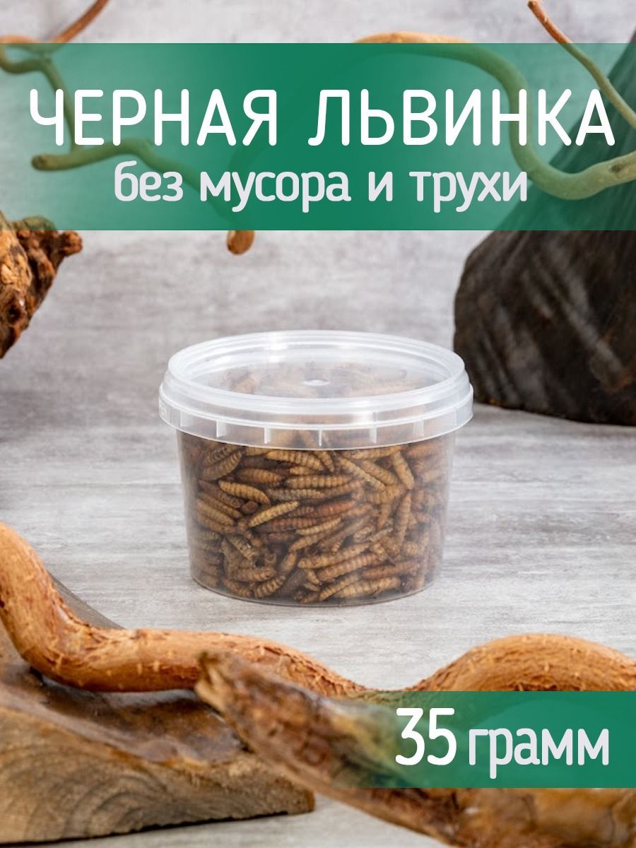 Черная львинка для крыс, ежей,хомяков,черепах