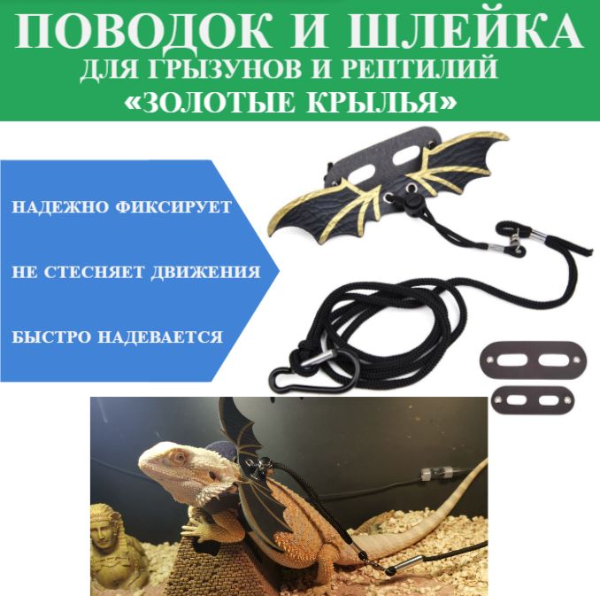 Шлейка + поводок для хорьков и кроликов Пуся №4 (обхв, груди 21-26 см)