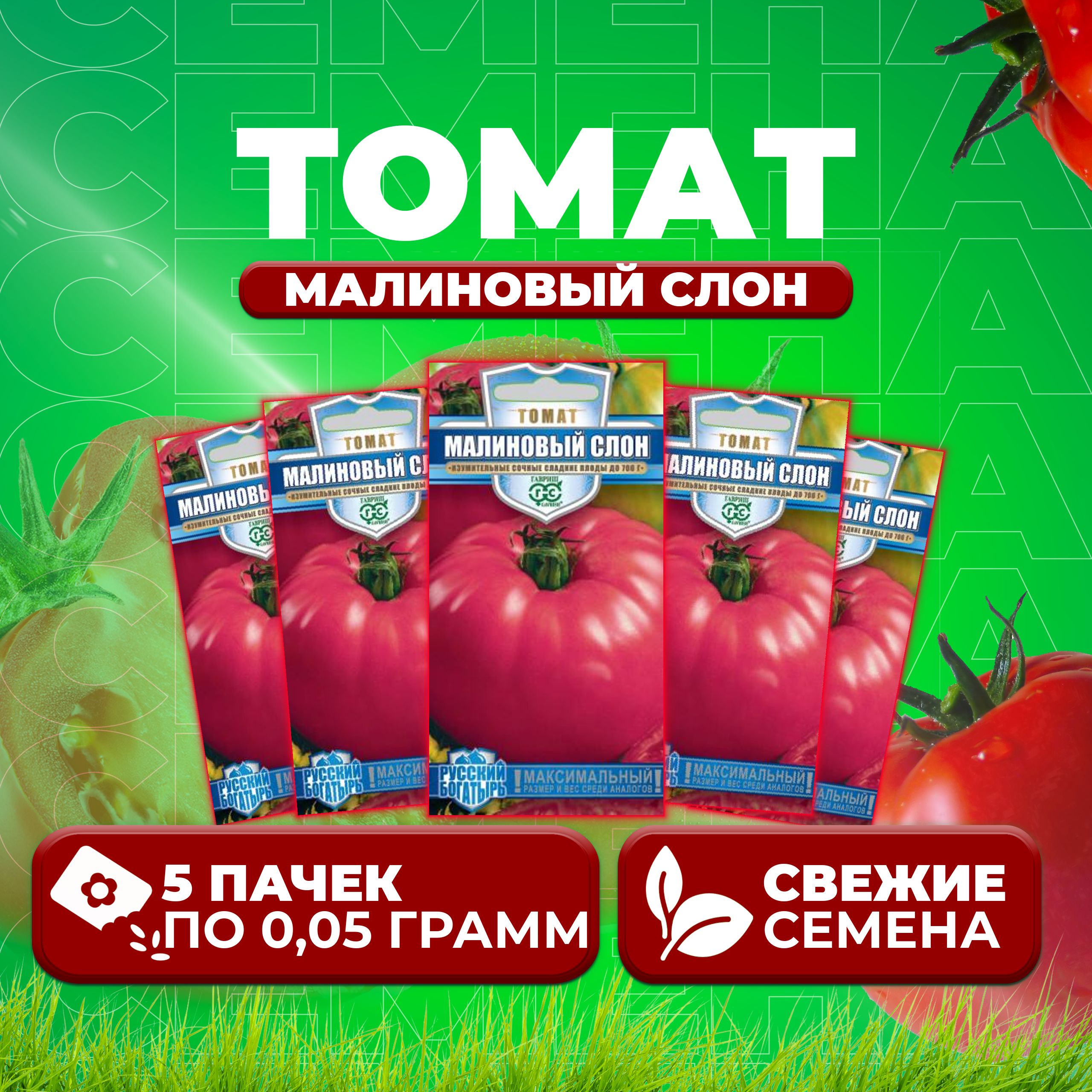 Сорт Томатов Малиновый Слон Отзывы Фото