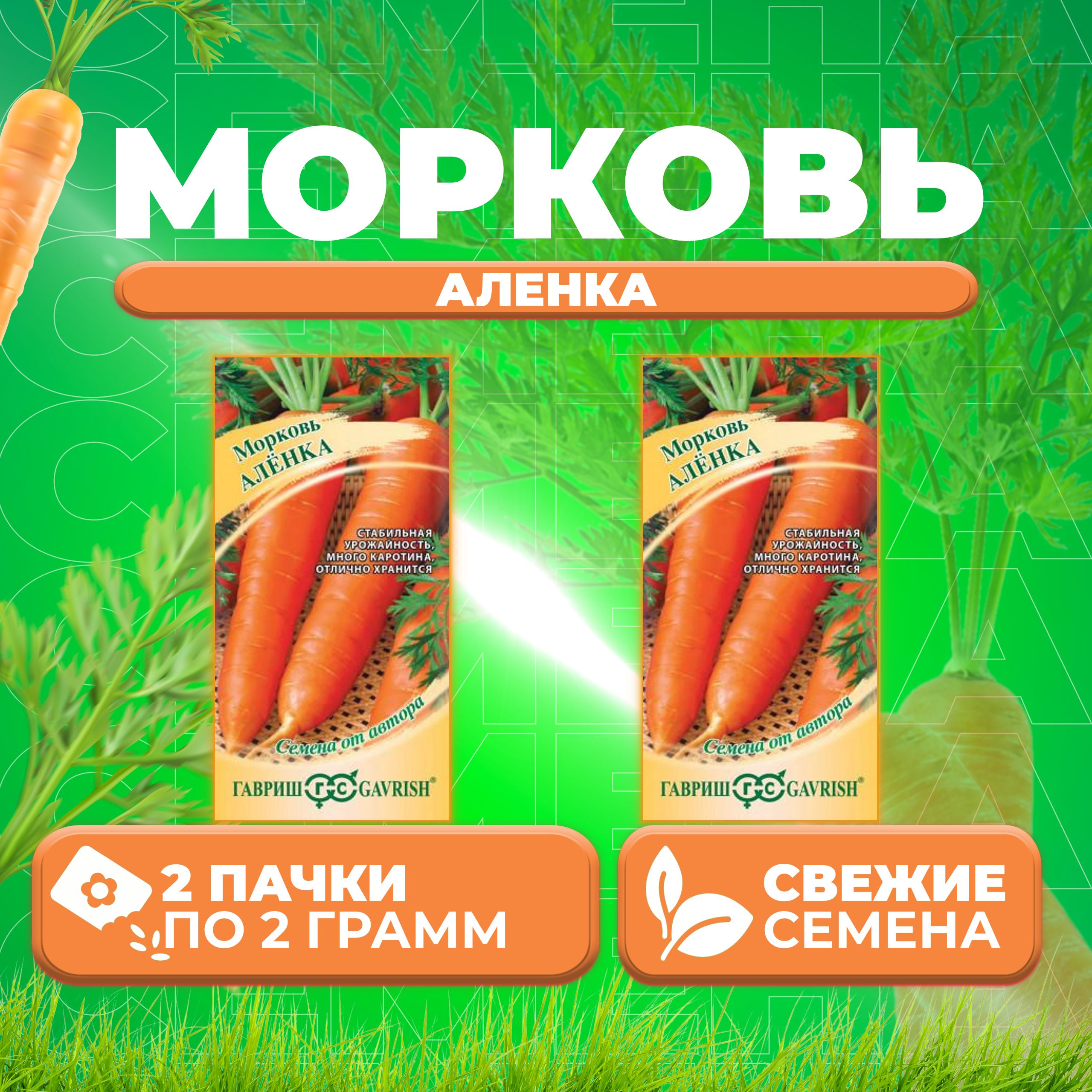 Морковь аленка. Морковь аленка
