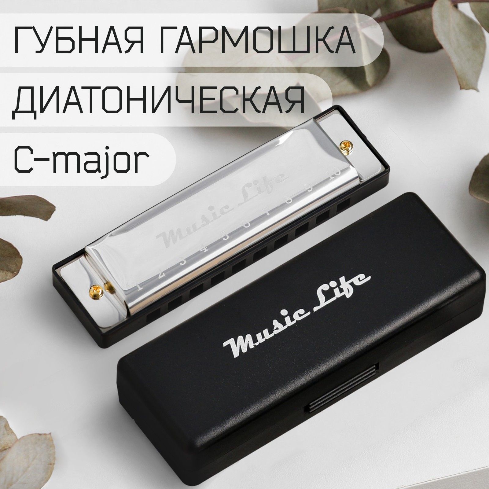 Губная гармошка Music Life, цвет серебристый, диатоническая, C-major -  купить с доставкой по выгодным ценам в интернет-магазине OZON (697234012)