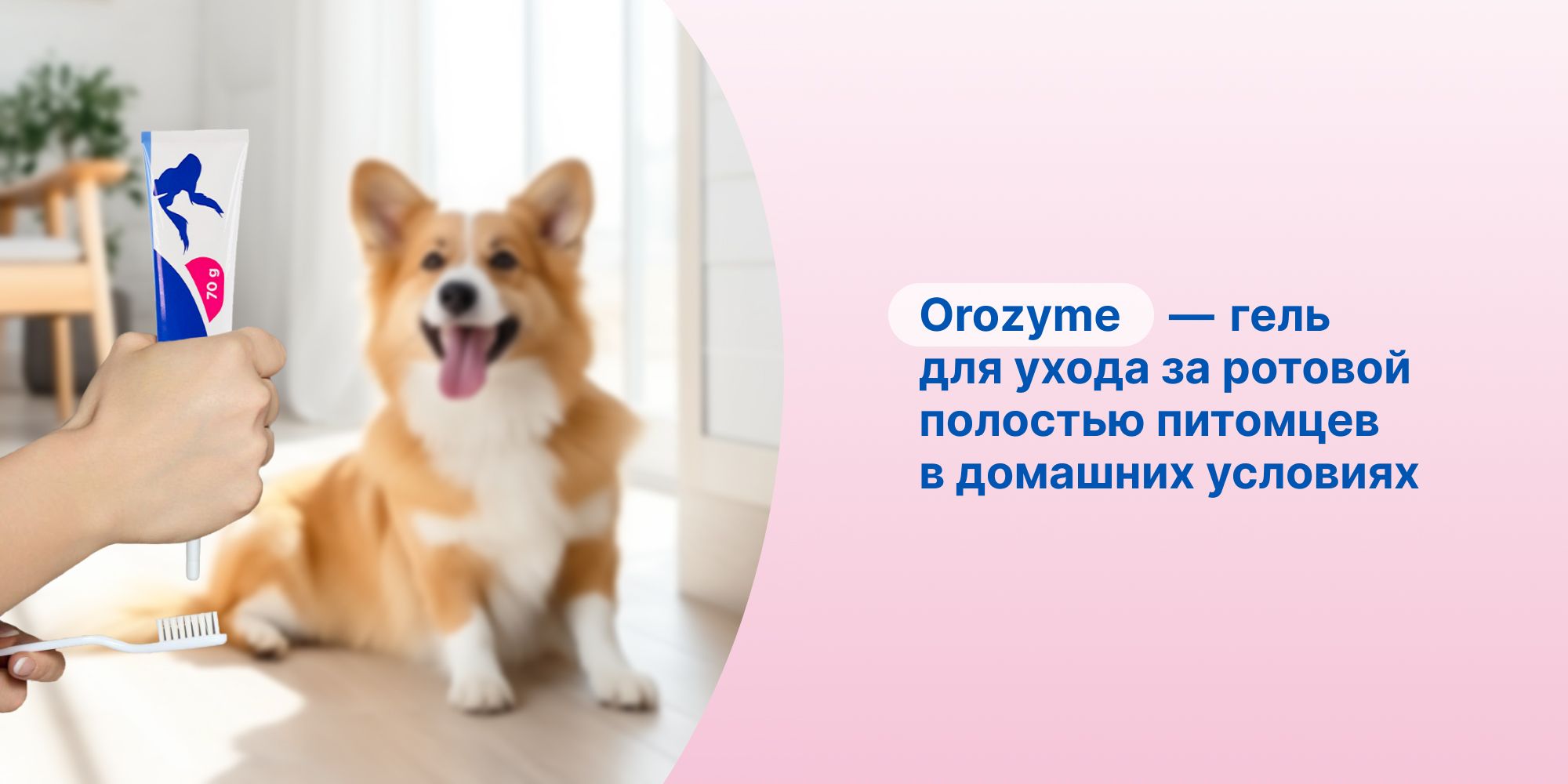 Зубной гель для чистки полости рта для всех животных Орозим Ecuphar Or(图1)