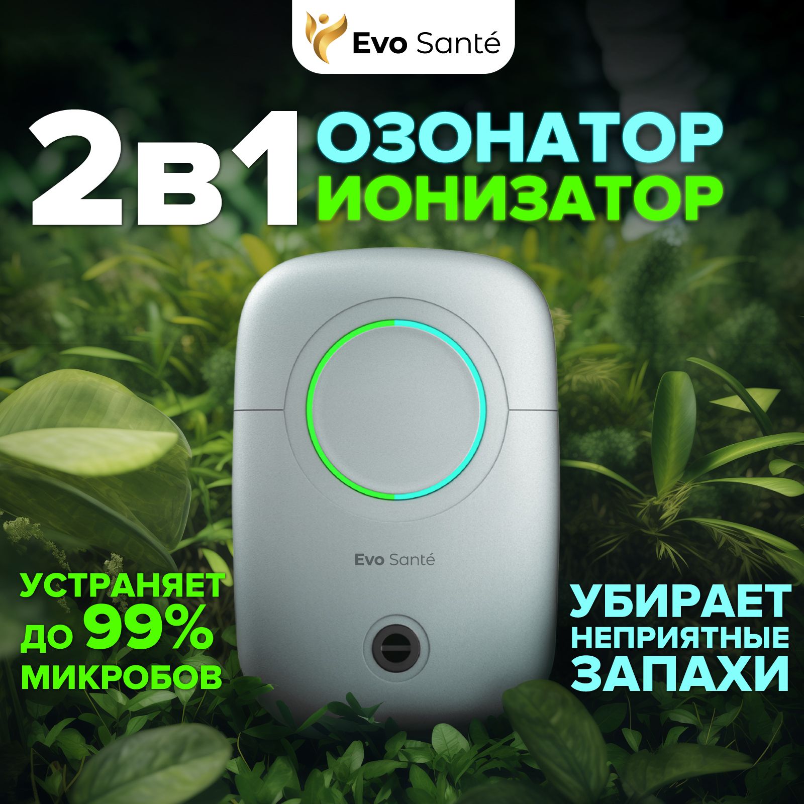 Ионизатор воздуха Evo Santé LS-802, белый, голубой - купить по выгодным  ценам в интернет-магазине OZON (720674420)