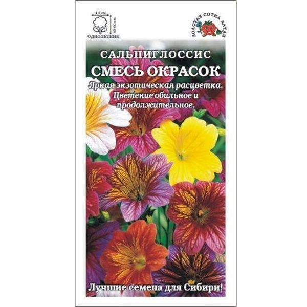 Сальпиглоссис Купить