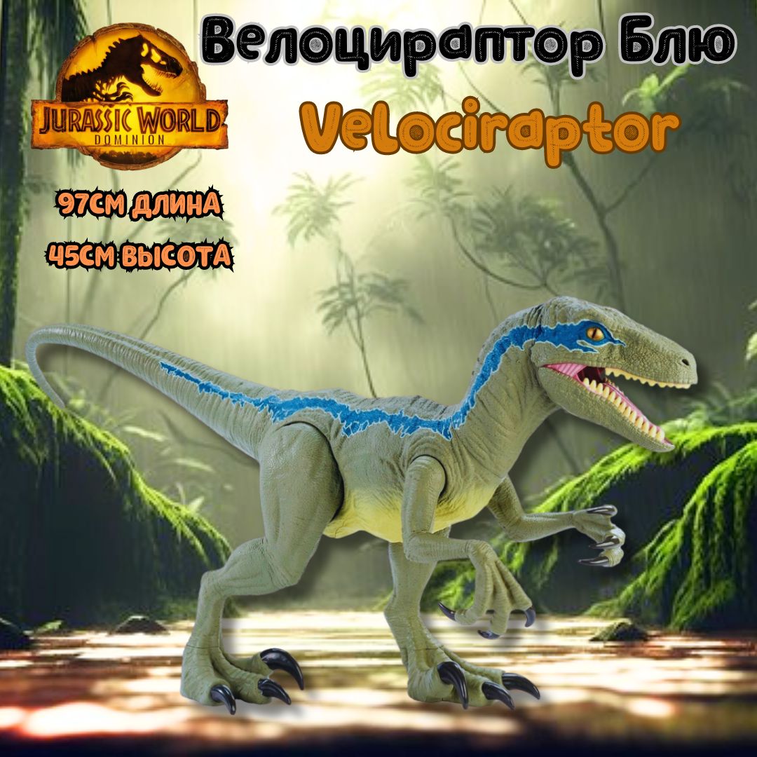 Фигурка Динозавра Jurassic World VELOCIRAPTOR BLUE Колоссальный  велоцираптор Блю, GCT93 - купить с доставкой по выгодным ценам в  интернет-магазине OZON (792249575)