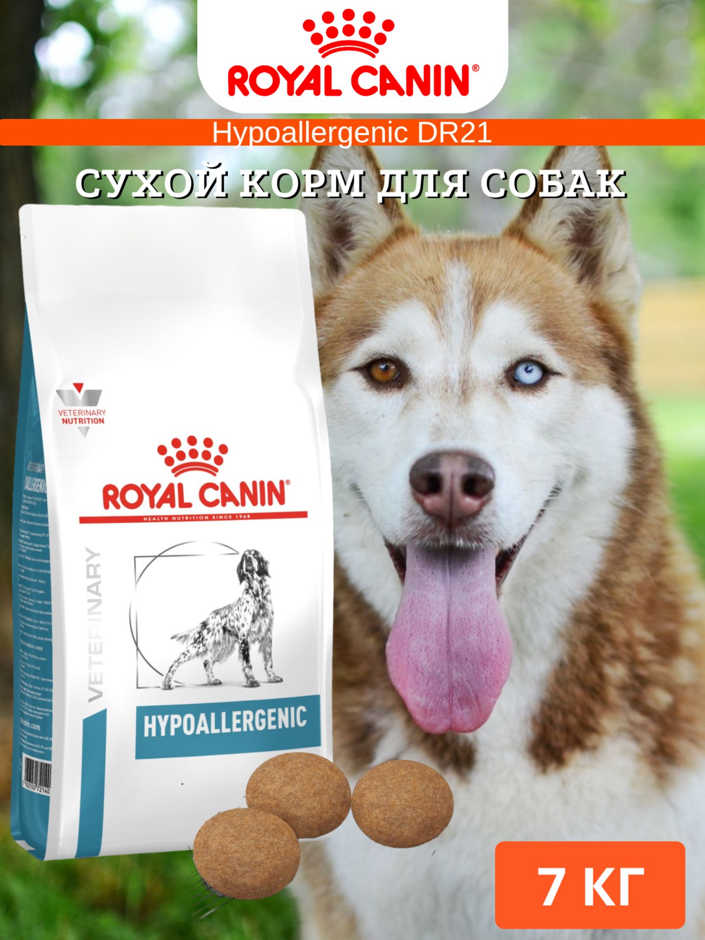 Hypoallergenic dr21 royal outlet canin