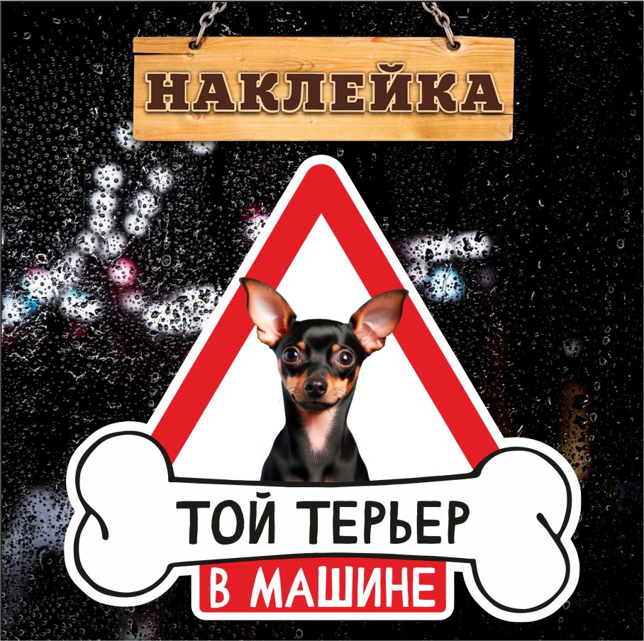 Наклейка, на авто, Той терьер в машине, Злая собака, 17см х 16см