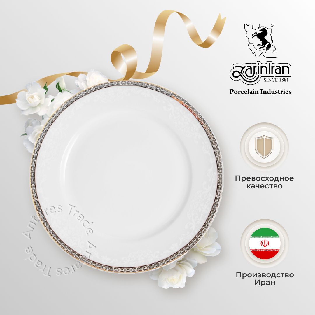 Блюдо Zarin Iran Porcelain Industries Со., Фарфор, диаметр30 см купить по  низкой цене с доставкой в интернет-магазине OZON (1075034604)