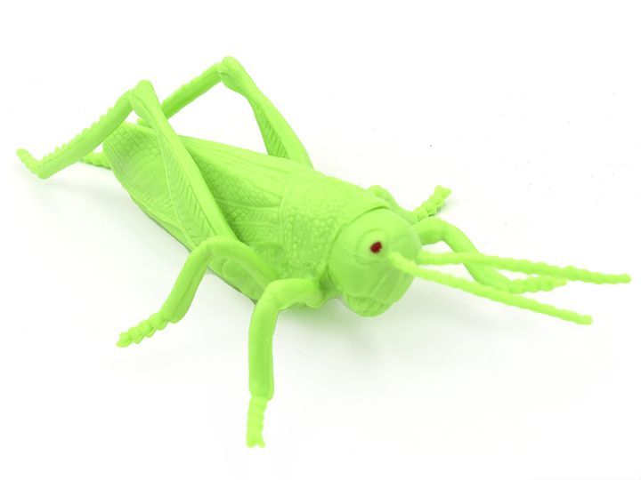 Кузнечик из пластилина