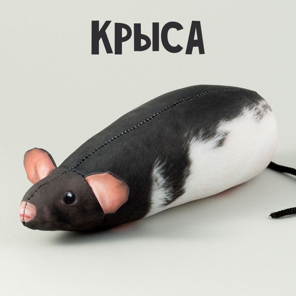 Татьяна Вьюга. Носки, игрушки.