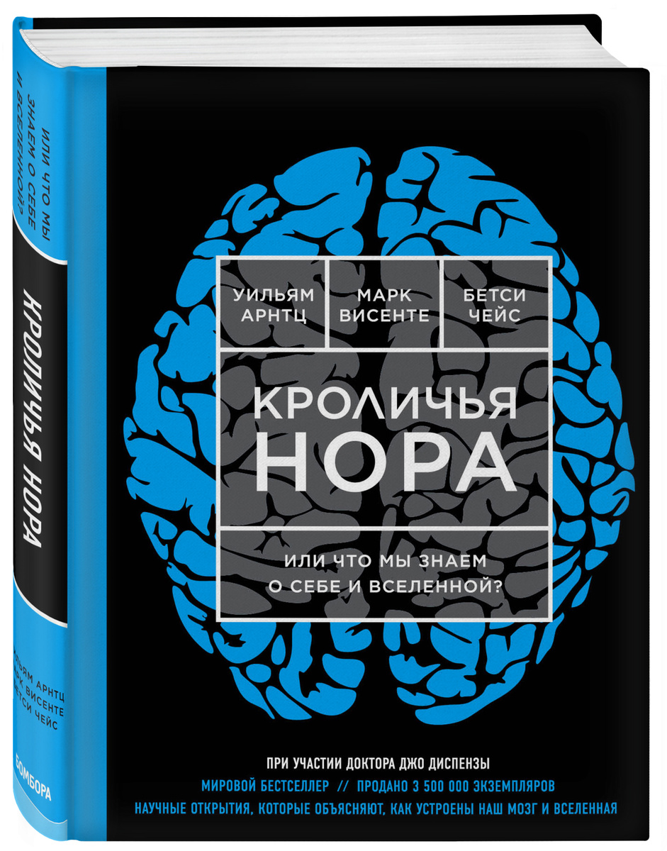 Проект кроличья нора