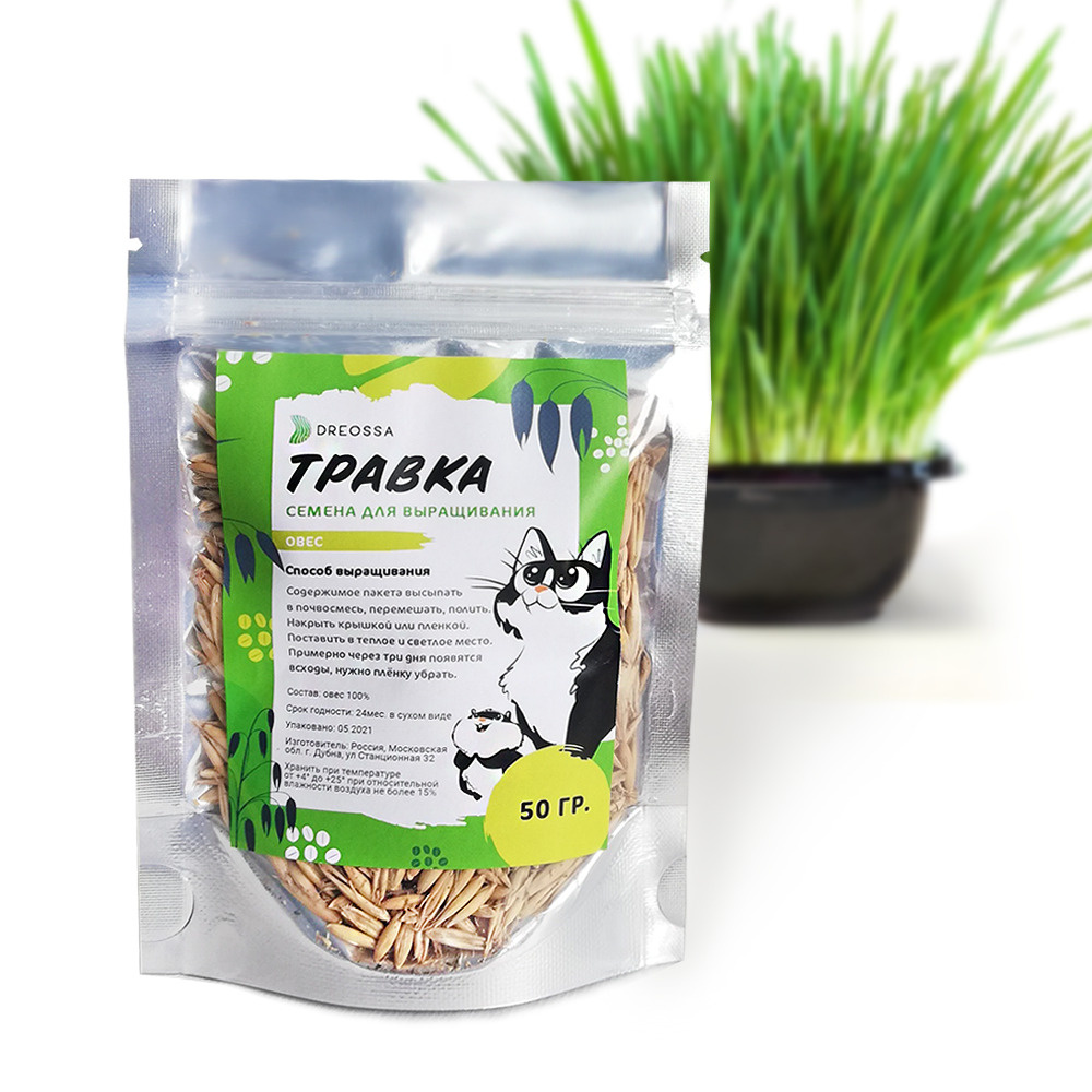 Трава для кошек. Семена овса. 50гр DREOSSA — купить в интернет-магазине ...