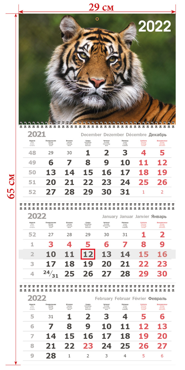 Отрывной Календарь 2022 Год Фото