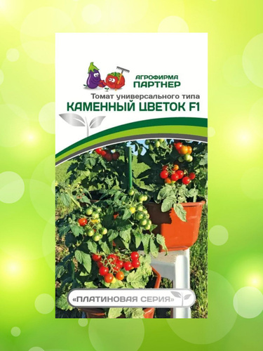 Сорт помидор каменный цветок. Томат черри "партнер" каменный цветок f1. Томат черри "партнер" каменный цветок f1. Семена томатов каменный цветок. Томат черри каменный цветок f1.