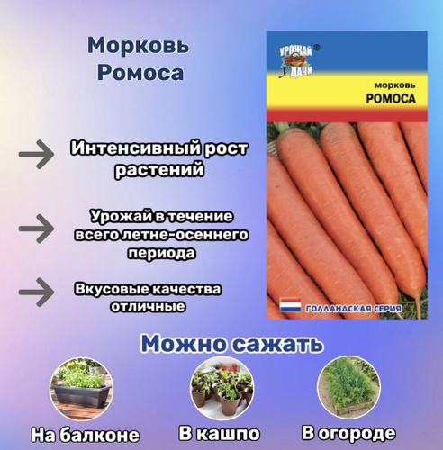 Отзывы о сорте моркови Ромоса