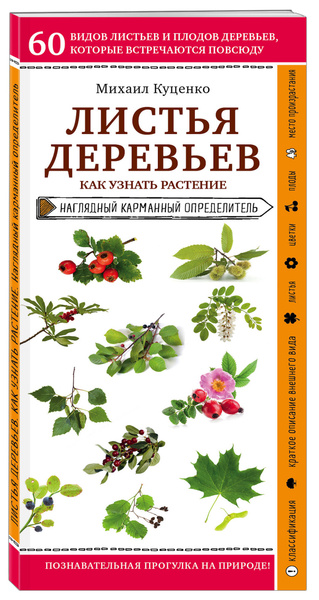 Листья деревьев. Как узнать растение - купить с доставкой по выгодным ...