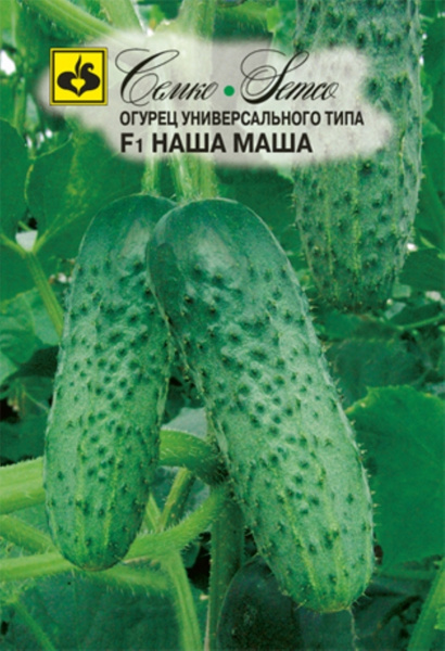 Огурец сорт маша описание сорта фото