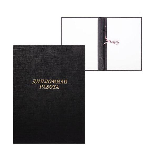 Calligrata Папка для диплома A4 (21 × 29.7 см) - купить с доставкой по ...