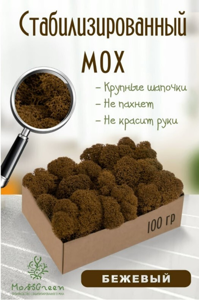 Мох стабилизированный 100 гр мох для декора искусственный мох ...