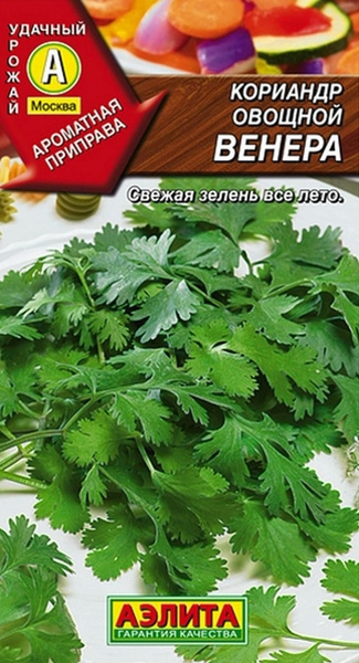 Кориандр Аэлита 1_Кориандр овощной Венера - купить по выгодным ценам в ...