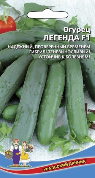 Легендарный ранний сорт картофеля ! - YouTube