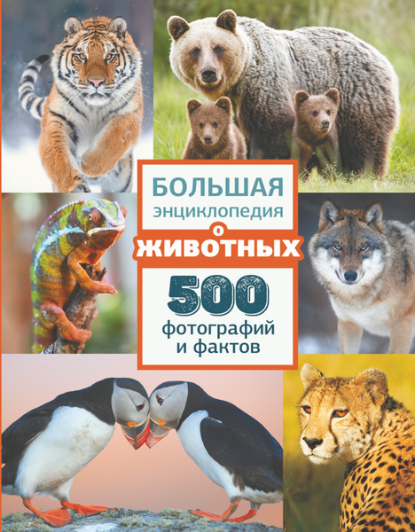 Большая энциклопедия о животных. 500 фотографий и фактов - купить с ...