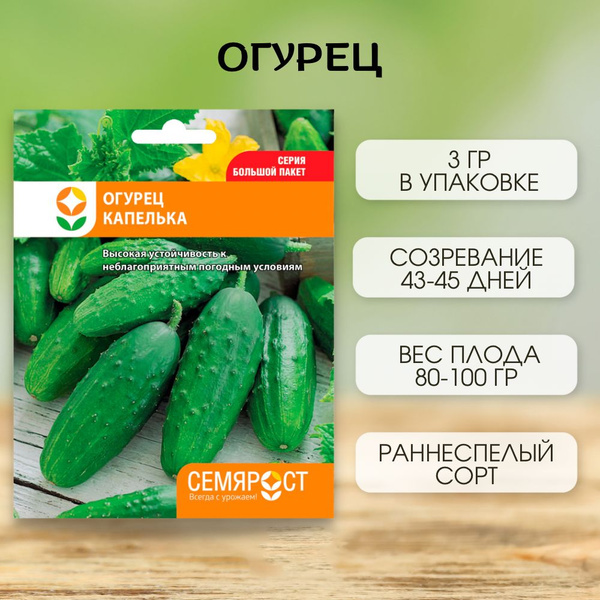 Огурцы СЕМЯРОСТ Огурец - купить по выгодным ценам в интернет-магазине ...