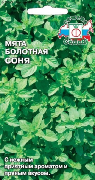 Мята Седек Мята болотная Соня - купить по выгодным ценам в интернет ...