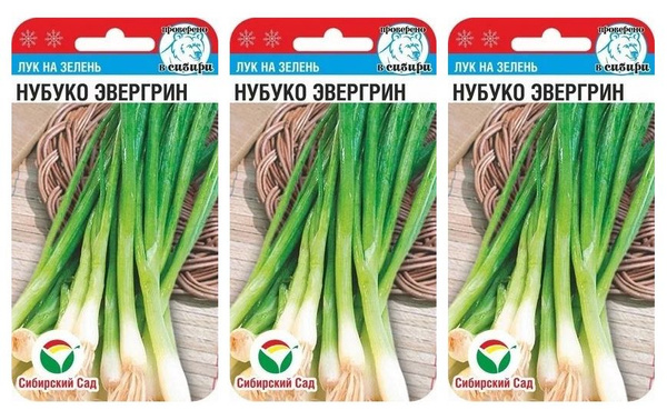 Лук Сибирский сад sibsad330 - купить по выгодным ценам в интернет ...