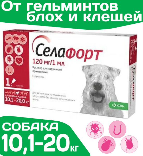 Силафорт для кошки