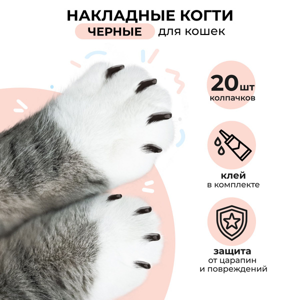 Колпачки защитные накладные на ногти для кошек и котят Petsona мягкие  силиконовые антицарапки для когтей черные 20 штук и тюбик клея - купить с  доставкой по выгодным ценам в интернет-магазине OZON (722614583)
