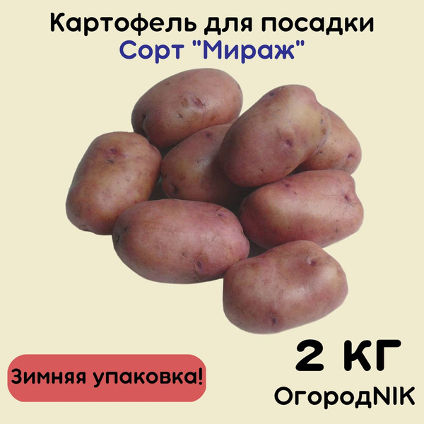 Картофель семенной "Мираж" купить на OZON по низкой цене (1707384816)