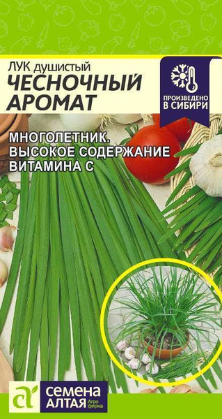 Лук Семена Алтая Зелень - купить по выгодным ценам в интернет-магазине ...