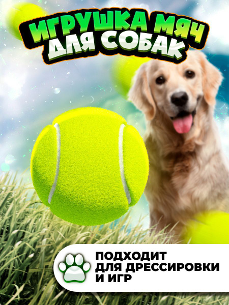 Игрушка-мяч для собак, для дрессировки и игр - купить с доставкой по ...