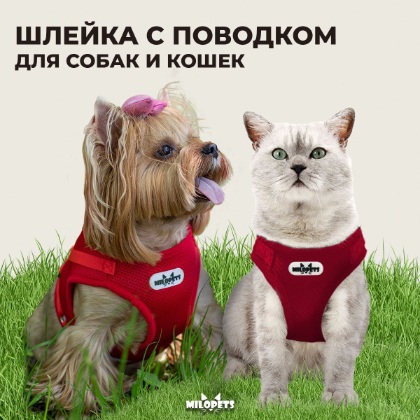 Шлейка для собак и кошек анатомическая MiloPets, с поводком 120 см ...